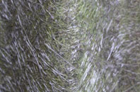 Chilton Foliat fibreglass roof work